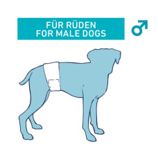 Male dog S-M